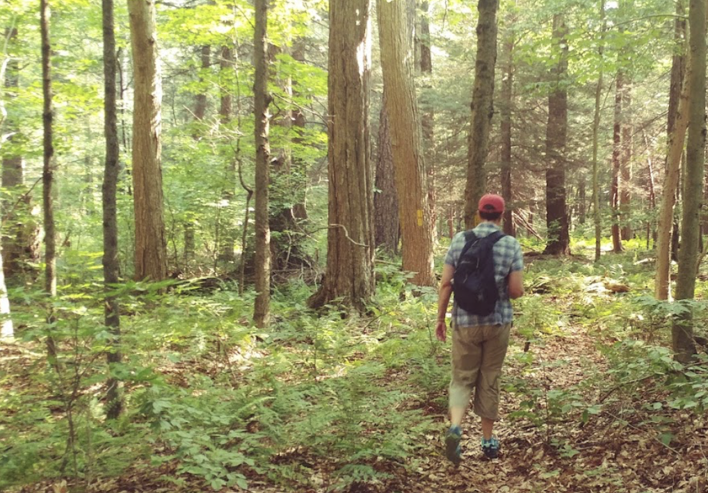 Our Preserves - Edward L Rose Land Conservancy