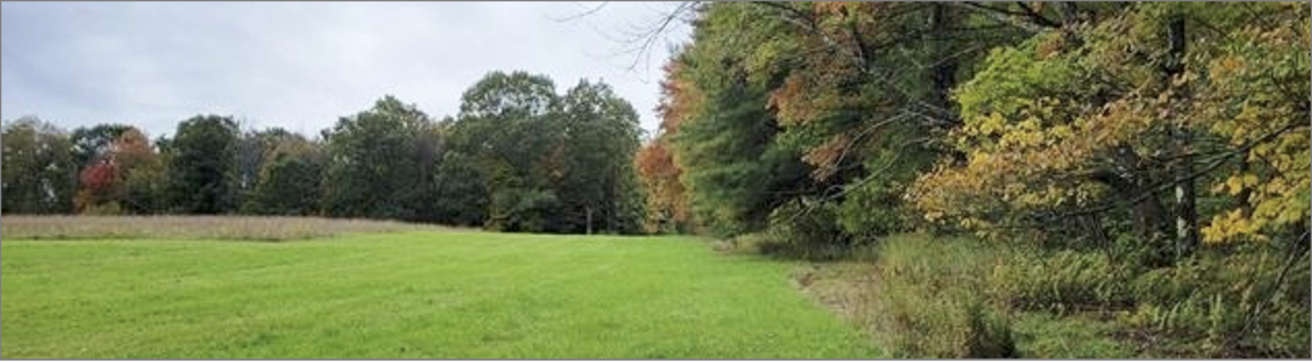 Screenshot 2026-04-17 at 10.28.44 AM